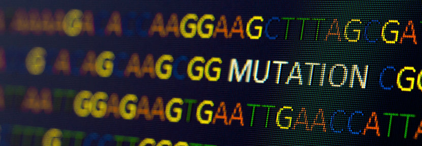 Données sur les mutations virales