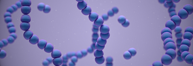 Group A Strep and the genomic