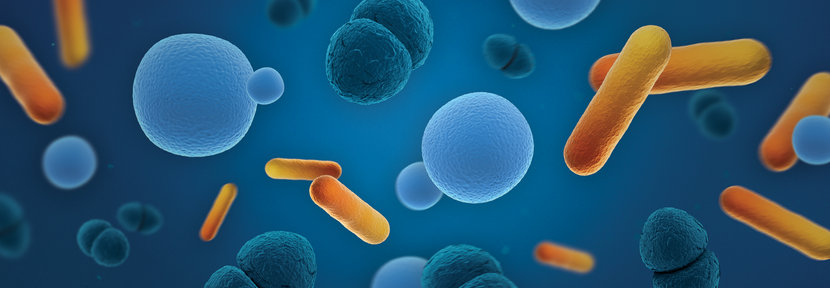 Microbes