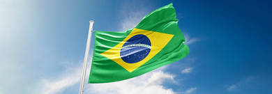 Brazil Flag