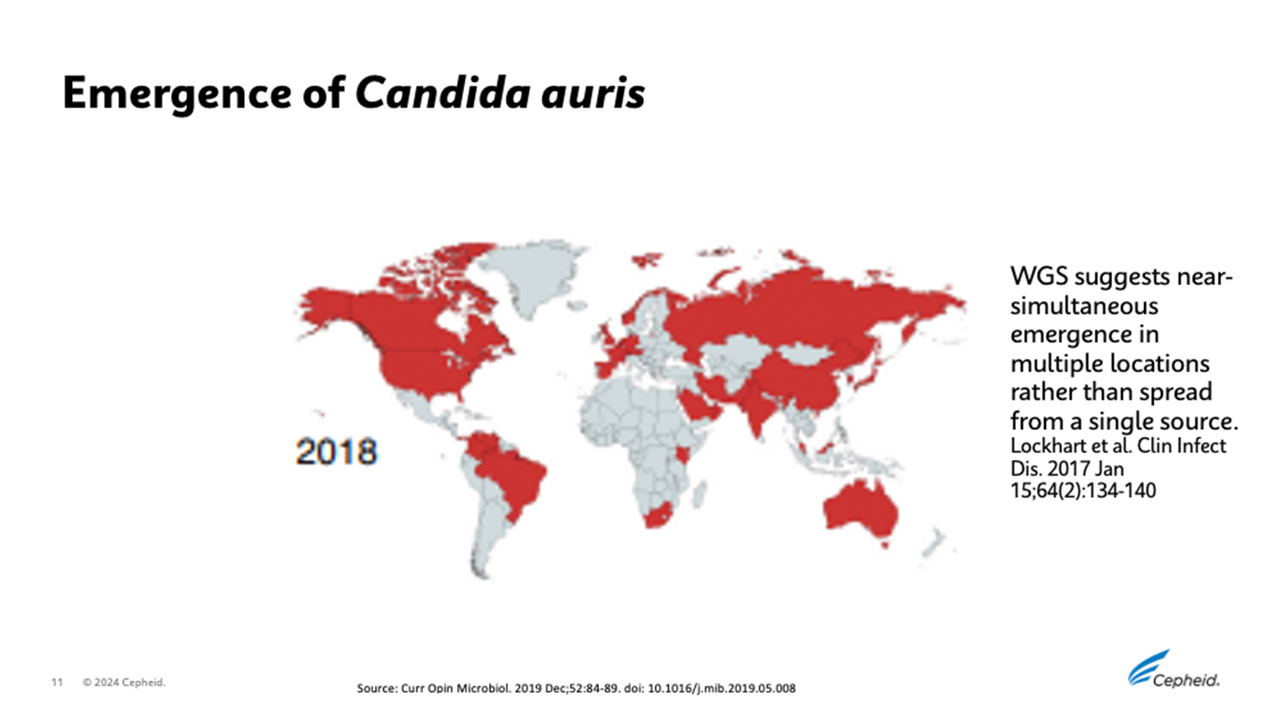 C. Auris Global Slide