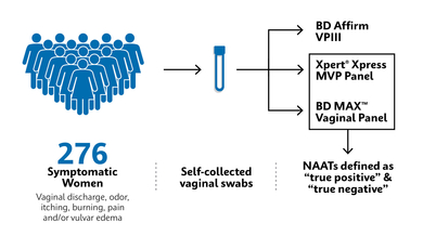 Infographic showing study overview