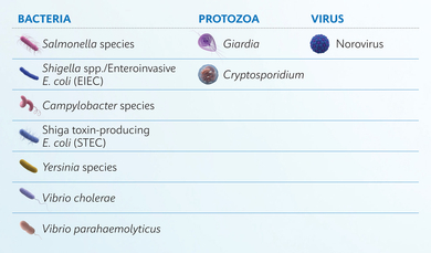 Pathogen targets included in the Xpert GI Panel