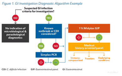 GI Investigation Diagnostic Algorithm Example