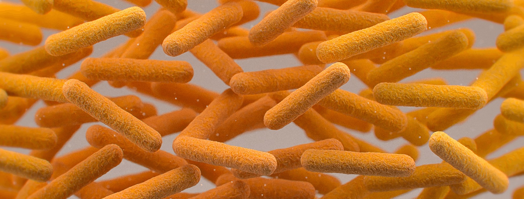 C. difficile BT computer generated depiction.