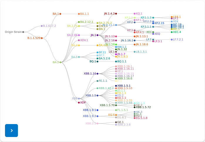 SARS-CoV-2 Variant Tree